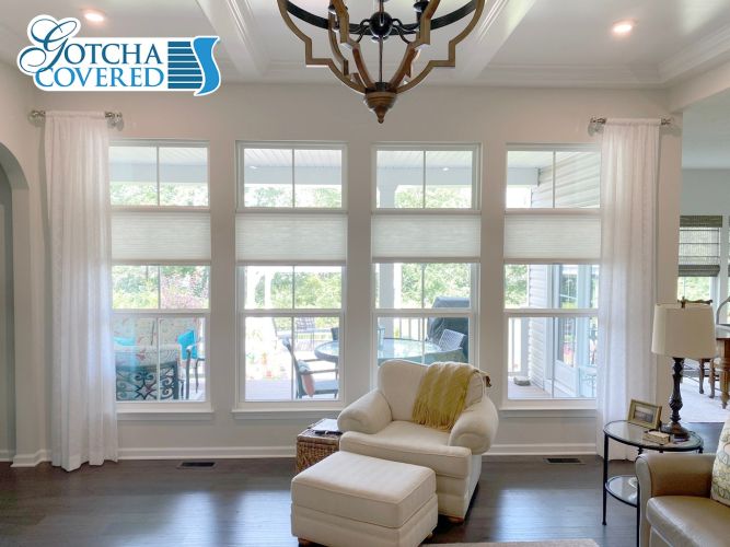 Gotcha Covered Blinds Franchise