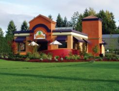 Taco Time Franchise