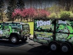 J Dog Franchise