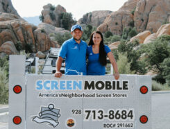 Screen Mobile Franchise