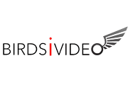 BirdsiVideo