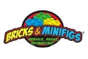 Bricks & Minifigs Franchise