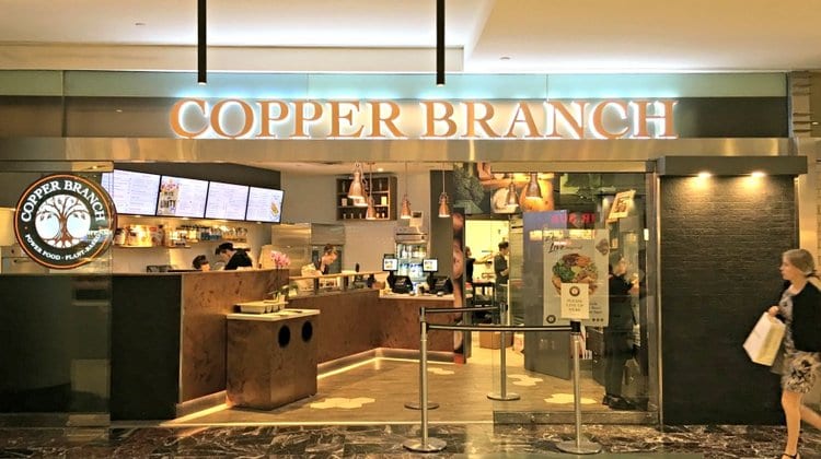Copper Branch Franchise