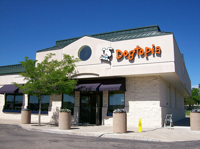 Dogtopia Franchise