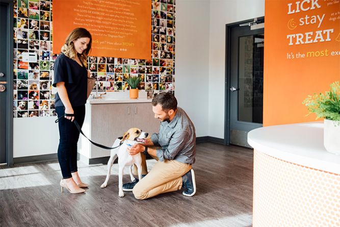 Dogtopia Franchise