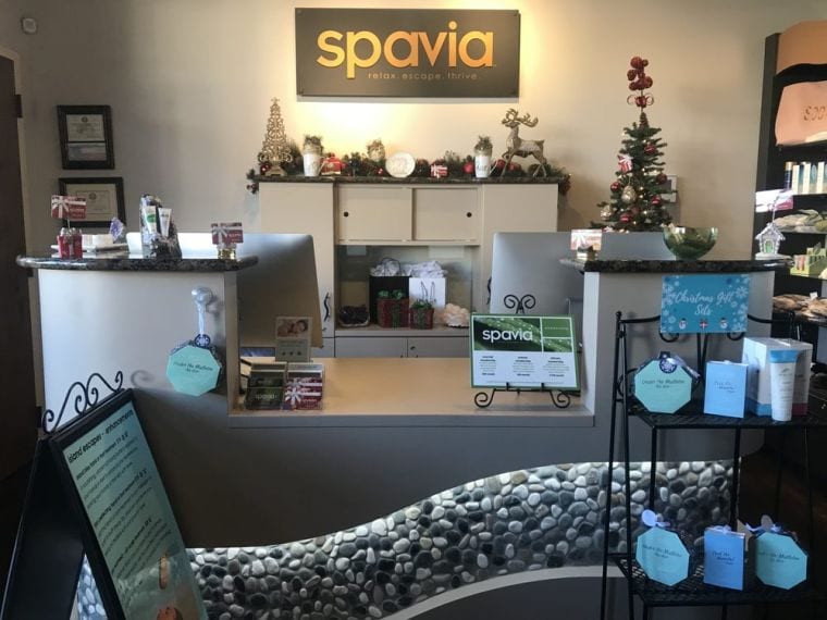 Spavia Day Spa Franchise