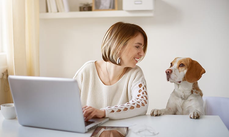 Woman owning and running her franchise business from home next to her dog.