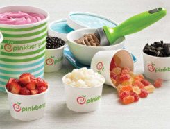 Pinkberry Frozen Yogurt Franchise