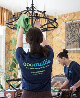 Ecomaids Franchise Business
