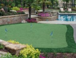 IntelliTurf Franchise Putting Green