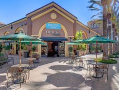 Nekter Juice Bar Franchise