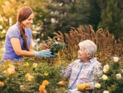 Griswold Home Care Franchise