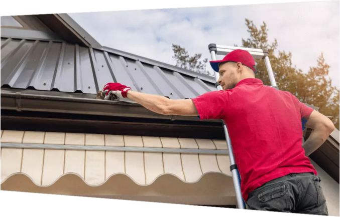 Mighty Dog Roofing Franchise