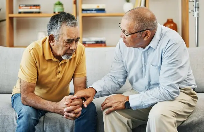 Seniors Helping Seniors Franchise