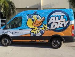 All Dry Services Franchise