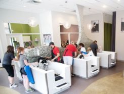 Bubbly Paws Dog Wash Franchise