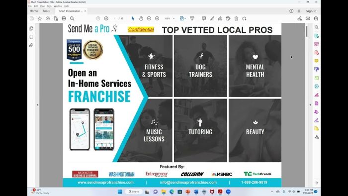 Send Me A Pro Franchise Services