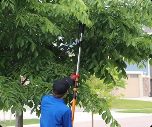 HomeSmiles Franchise-home maintenance services