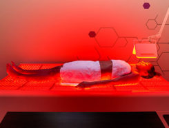Upgrade Labs Franchise