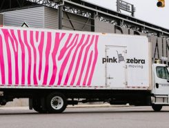 Pink Zebra Moving Franchise