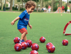Soccer Stars Franchise