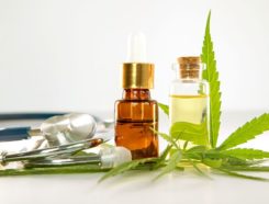 CBD Wellness Market Franchise