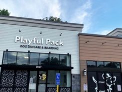 Playful Pack Franchise