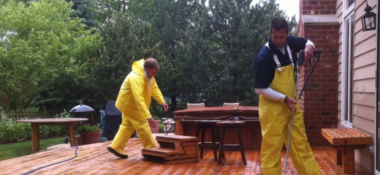 Deck Medic Franchise Team Deck building. 