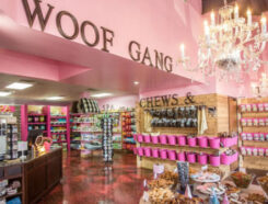 Woof Gang Franchise