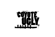 Coyote Ugly Franchise