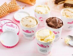 Millie's Homemade Ice Cream Franchise
