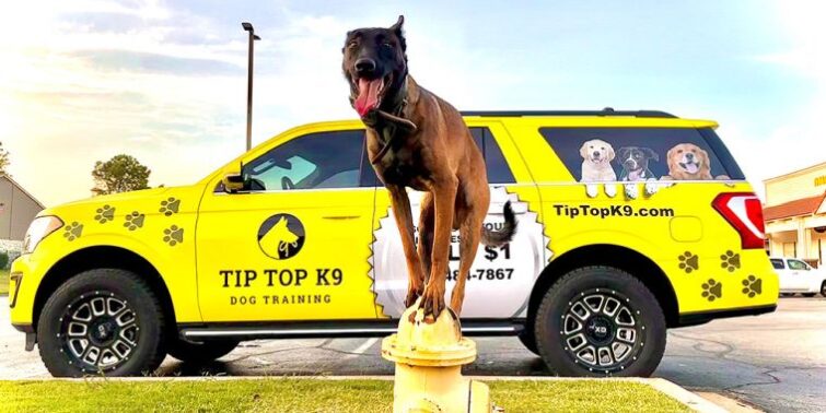 Tip Top K9 Franchise