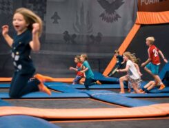 Sky Zone Franchise