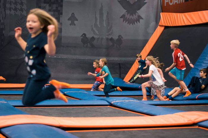 Sky Zone Franchise