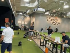Swing Bays Franchise