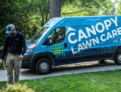 Canopy Lawncare Franchise