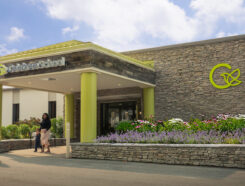 Celebree School Franchise