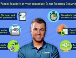 Tiger Adjusters Franchise