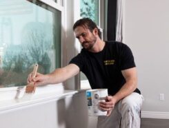 Painter Bros Franchise