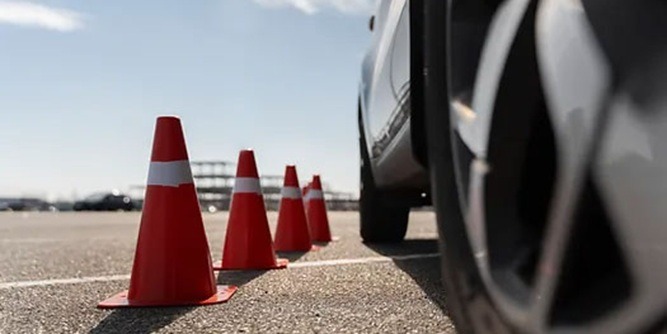 Jungle Driving School Franchise