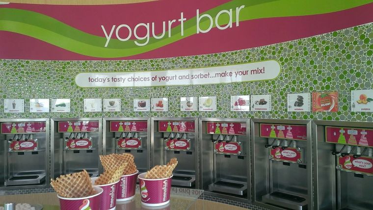 Menchie's Frozen Yogurt Franchise