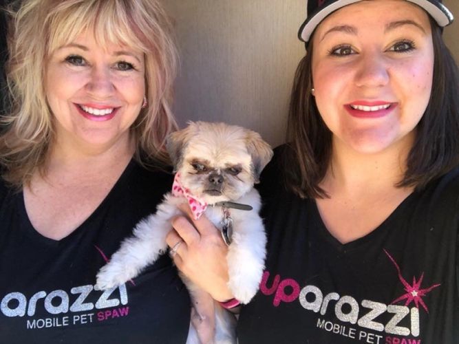 Tammy Rodgers Founder Puparazzi Franchise