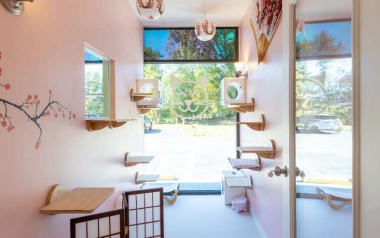 Happy Cat Hotel & Spa Franchise