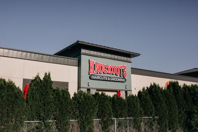 Knockouts Haircuts & Grooming Franchise