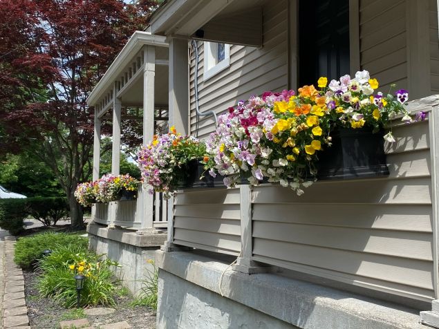 WOW Windowboxes Franchise windowbox arrangement.