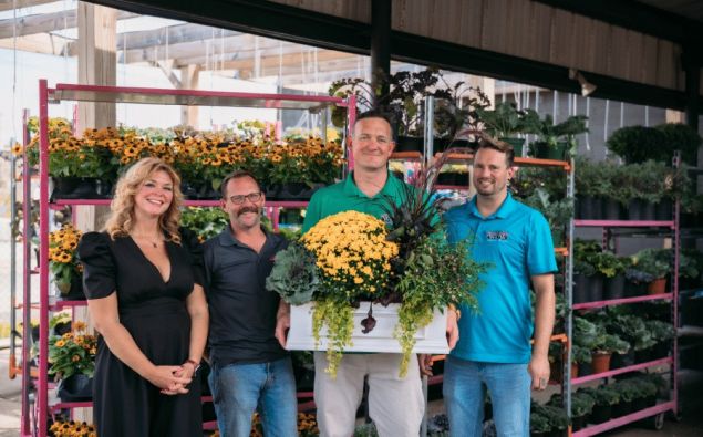 WOW Windowboxes Franchise team