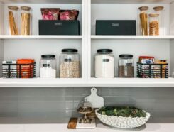 2B Organized Franchise