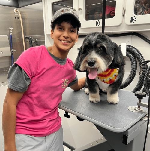 Dapper Tails Mobile Pet Grooming Franchise