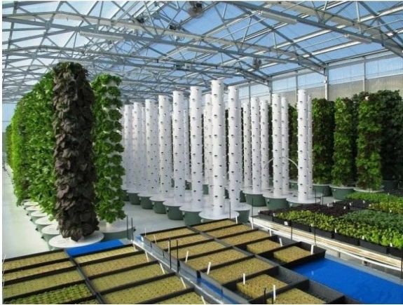 Green Food Solutions Franhcise Farming System