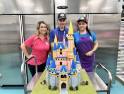 The Cake Girl Franchise - Cakes, Cupcakes